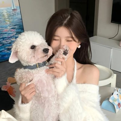小狗波图之雪岭历险记